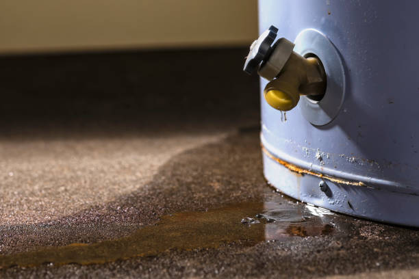 Best Local water damage restoration  in Mills River, NC