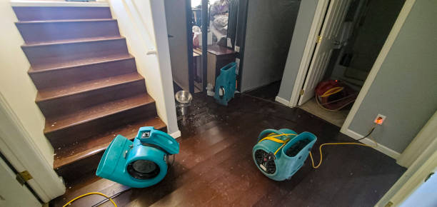 Water damage restoration insurance claims in Mills River, NC