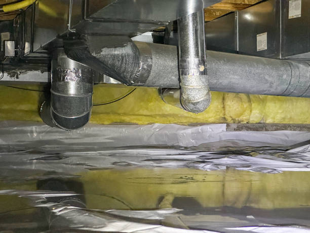 Best 24-hour water damage restoration  in Mills River, NC