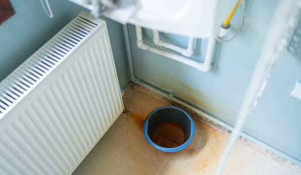 Best Local water damage restoration  in Mills River, NC
