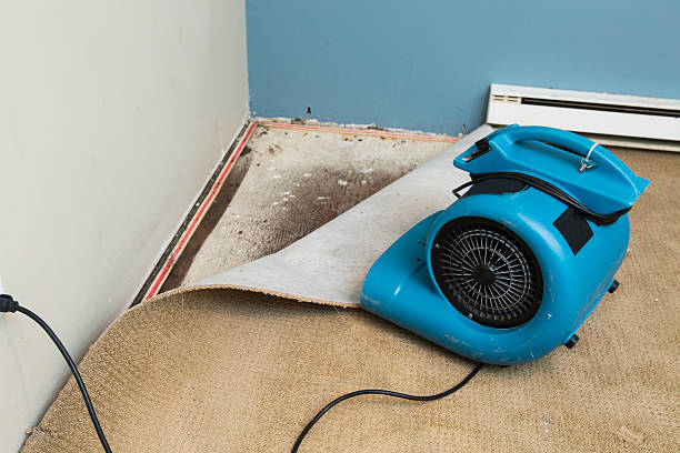 Fire Damage Restoration in Mills River, NC