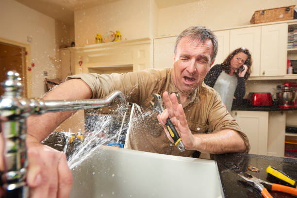 Best Water damage cleanup near me  in Mills River, NC